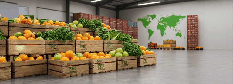 PIE Trade: Küresel Pazarlar İçin Organik Ürün Şirketi