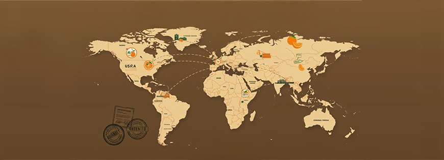 Citrus Export Regulations by Country (2025) | PEI Trade
