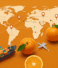 10 Strategies to Maximize Profits in the International Orange Trade