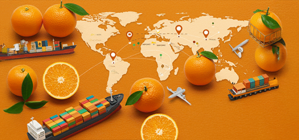 Mercado de importación de naranjas y ganancias