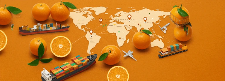 egyptian orange export