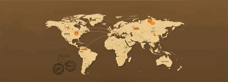 import fruits and vegetables from egypt