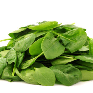 Espinaca Egipcia Premium – Hojas Verdes Nutritivas para la Exportación Global