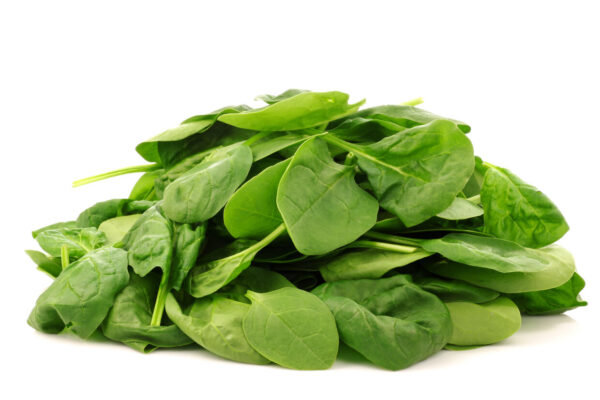 Espinaca Egipcia Premium – Hojas Verdes Nutritivas para la Exportación Global