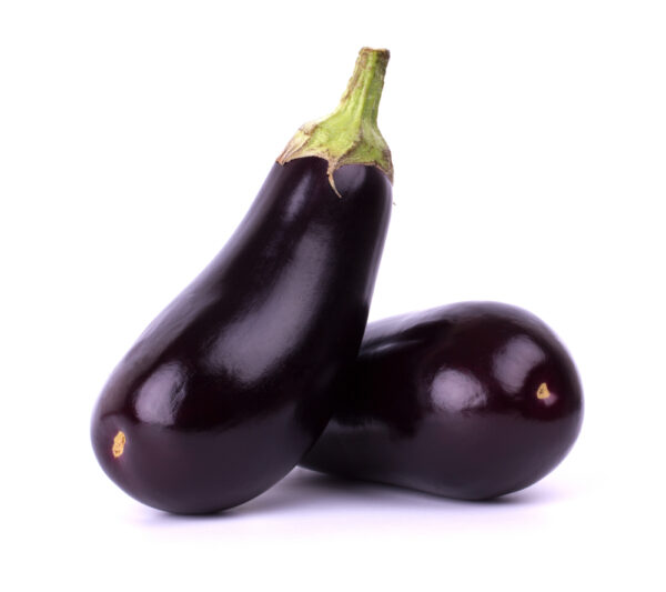 Berenjena Egipcia Premium – Alta Calidad para Exportación Global