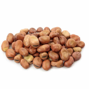 fava beans