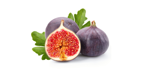 Fresh Egyptian figs – sweet, ripe, and perfectly packed for global export