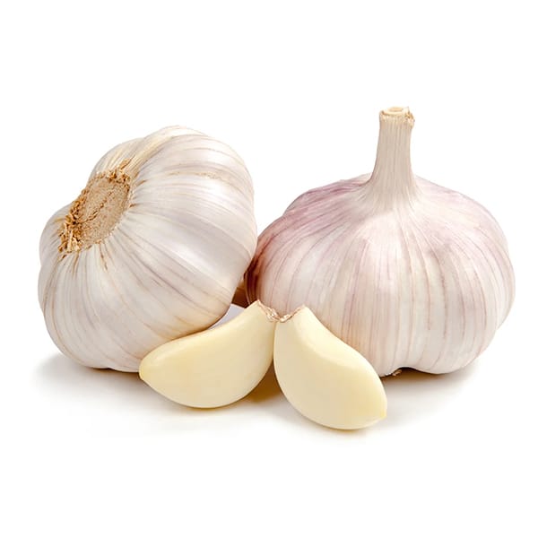 Exportación de ajo egipcio: la guía completa 2 Grandes bulbos de ajo blanco egipcio para la exportación