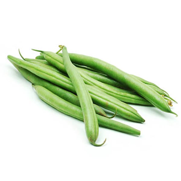 Exportación de judías verdes egipcias: la guía completa 1 Judías verdes finas egipcias frescas (haricots verts) para exportación