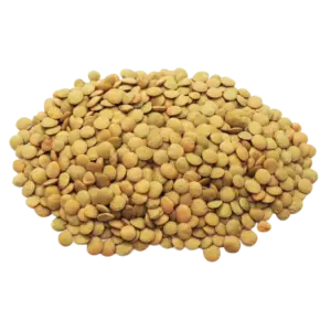 Lentils