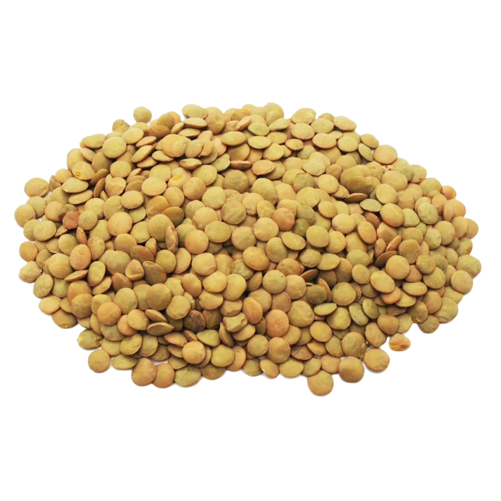 Egyptian Lentils - PEI Trade