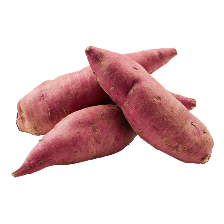 Ägyptische Süßkartoffelexporte in die Niederlande: EU-Hub-Leitfaden 2 Ägyptische Süßkartoffeln - PEI Trade