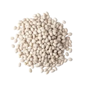 Dry White Beans