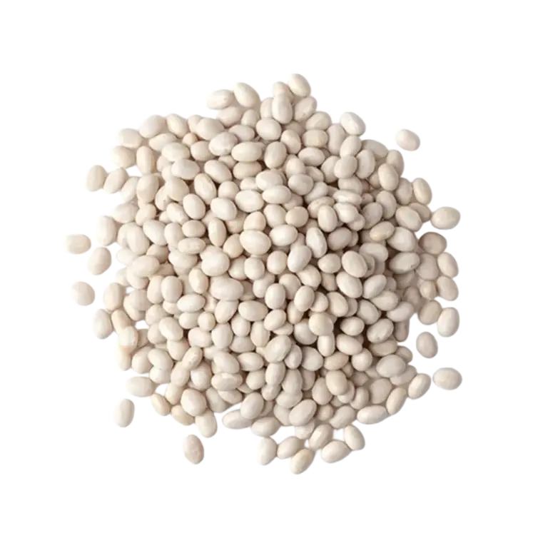 Esportazioni di fagioli bianchi egiziani in Italia: guida del fagiolo secco 11 Egyptian White Beans