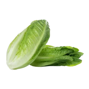Lettuce