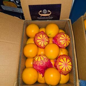 Arance Navel egiziane premium: specifiche tecniche e requisiti