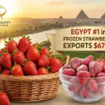 Ägyptens Tiefkühlerdbeeren führen Lebensmittel-Exporte mit 672 Mio. $ an