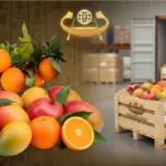 Beyond Oranges: A Look at High-Demand Egyptian Produce for Export