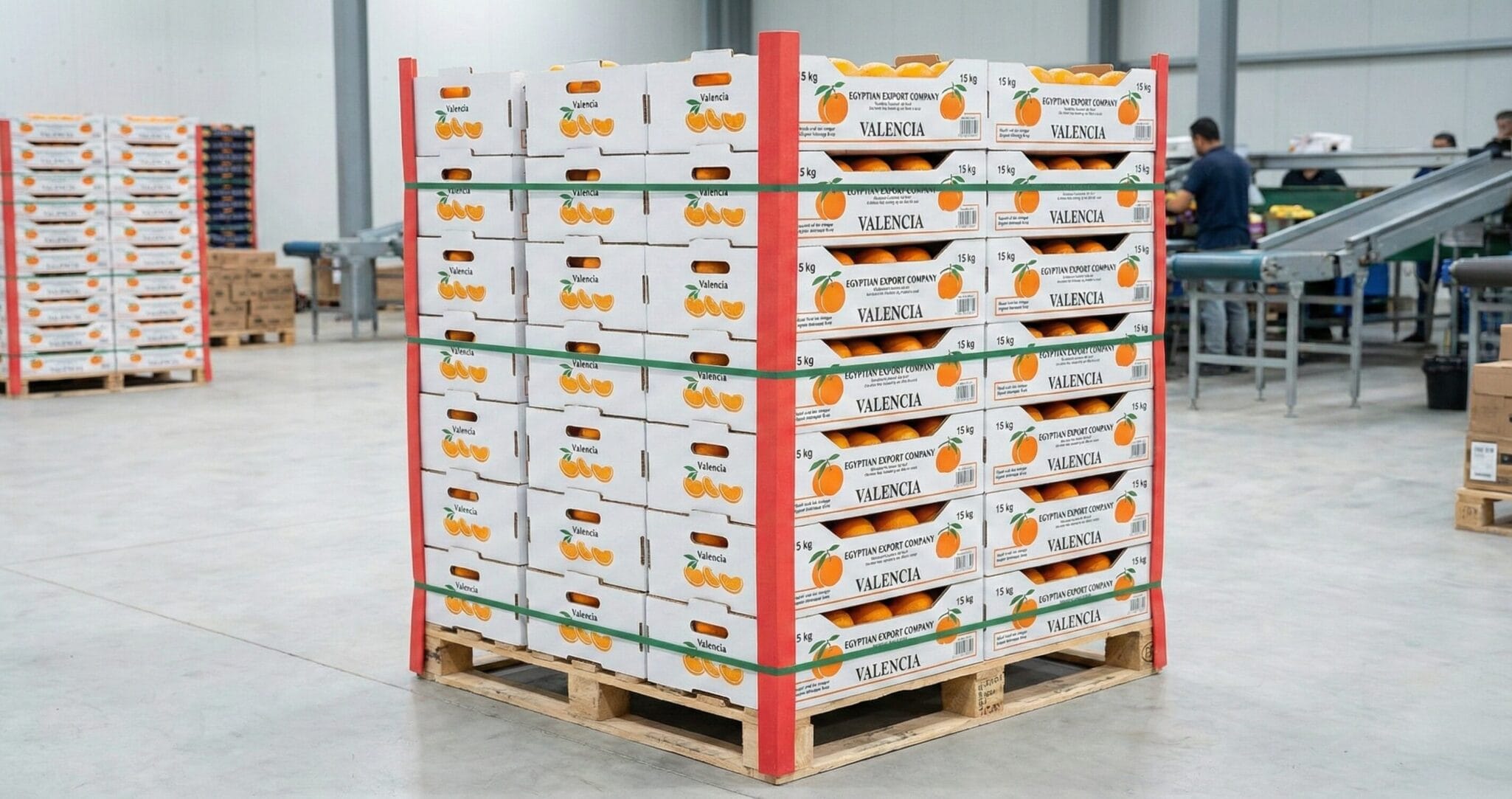 Zitrus Export Verpackung - 15kg Orangen-Exportkarton mit Teleskopdesign