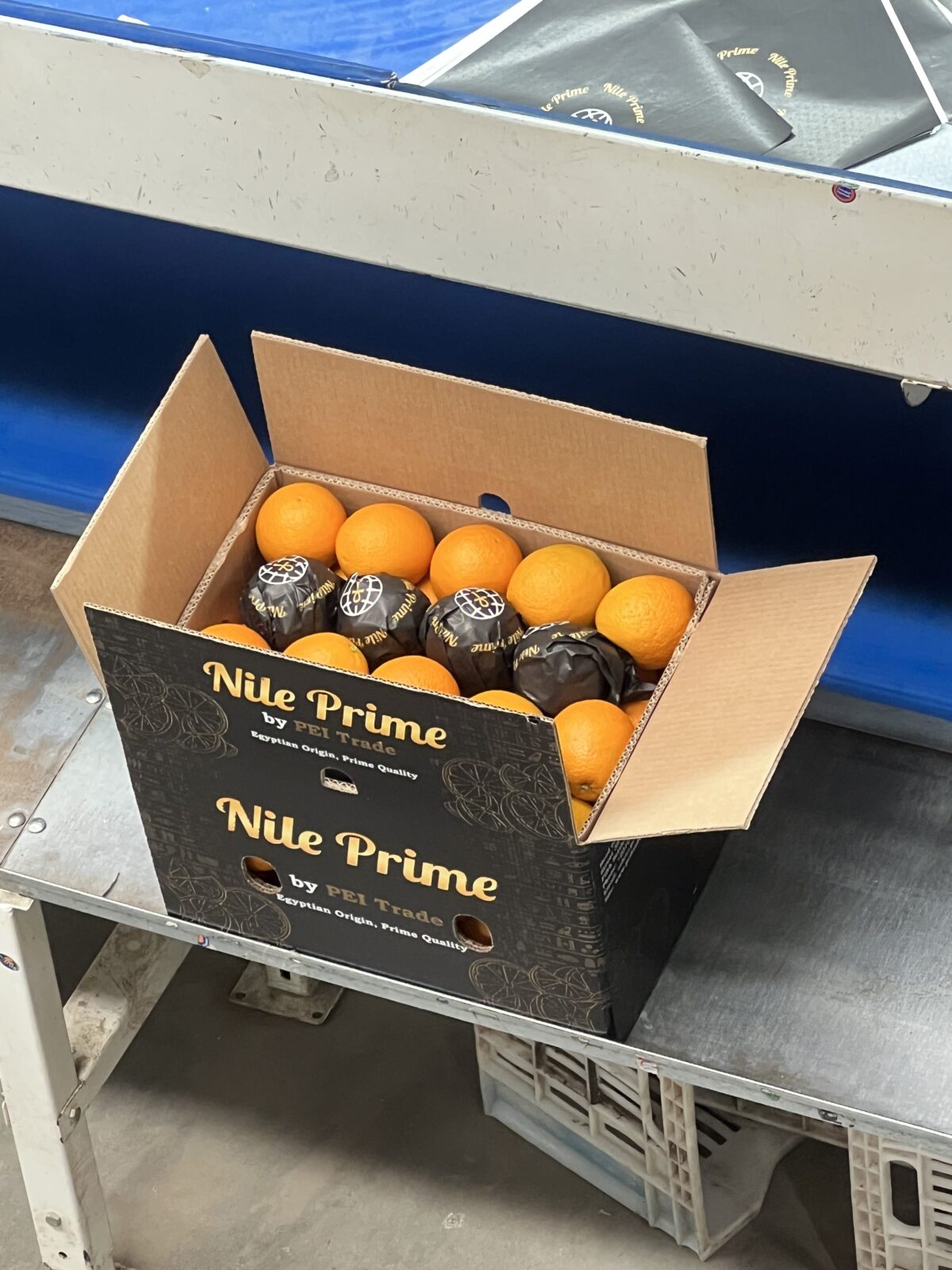 Nile Prime Egyptian orange exports 2026 record season premium citrus brand PEI Trade