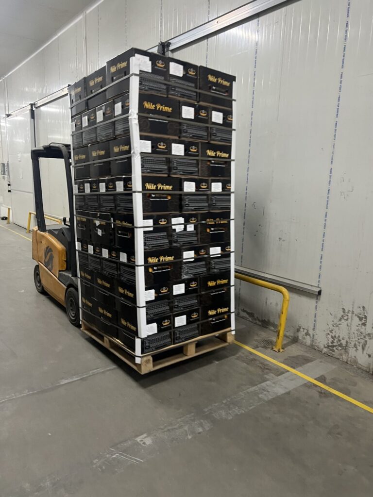 Egyptian Orange Exports 2026: PEI Trade Closes Record Season as Nile Prime Becomes Egypt's #1 Citrus Brand 5 Reefer containers of Egyptian oranges loading at Alexandria Port for export by PEI Trade