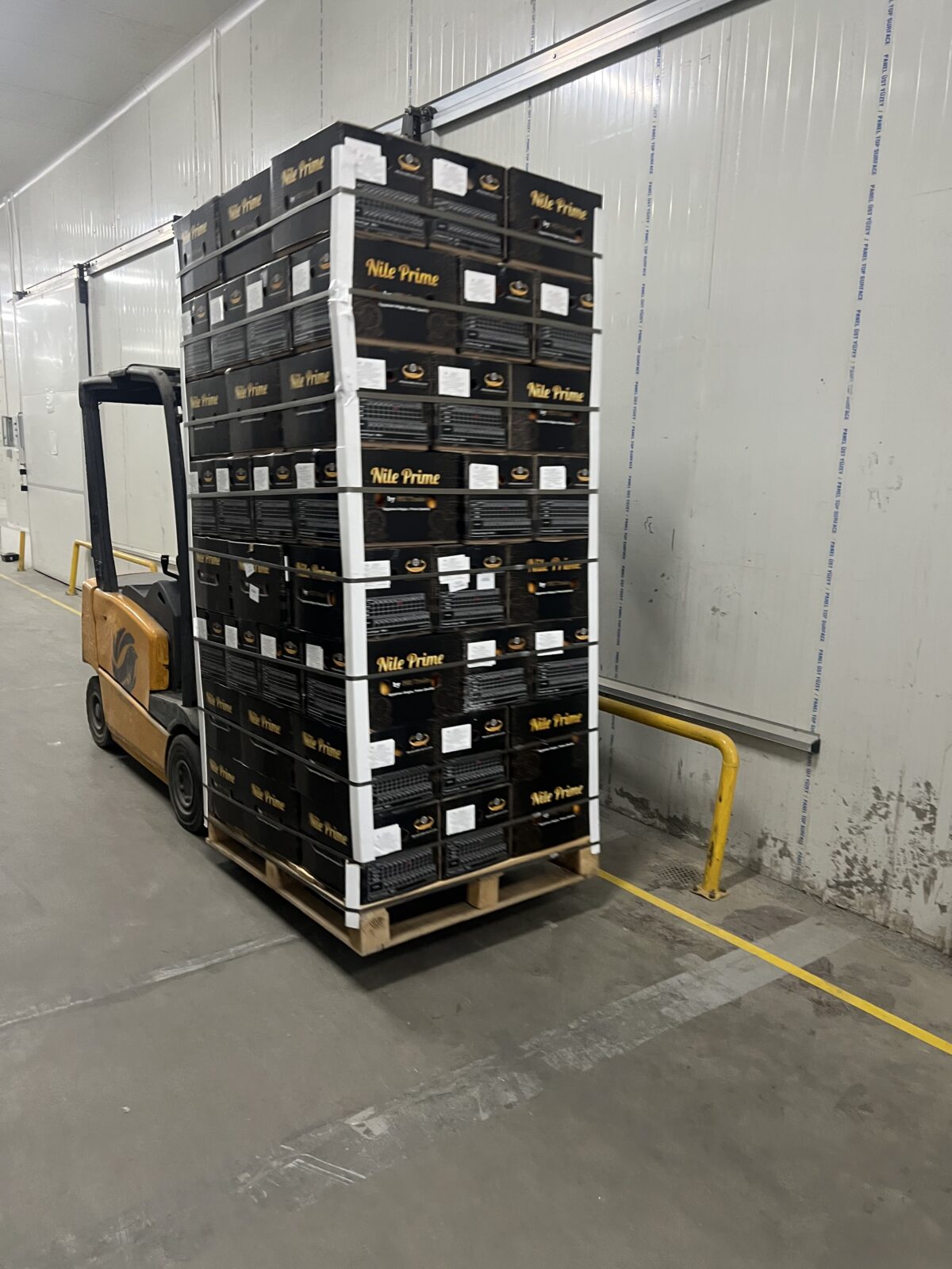 Reefer containers of Egyptian oranges loading at Alexandria Port for export by PEI Trade