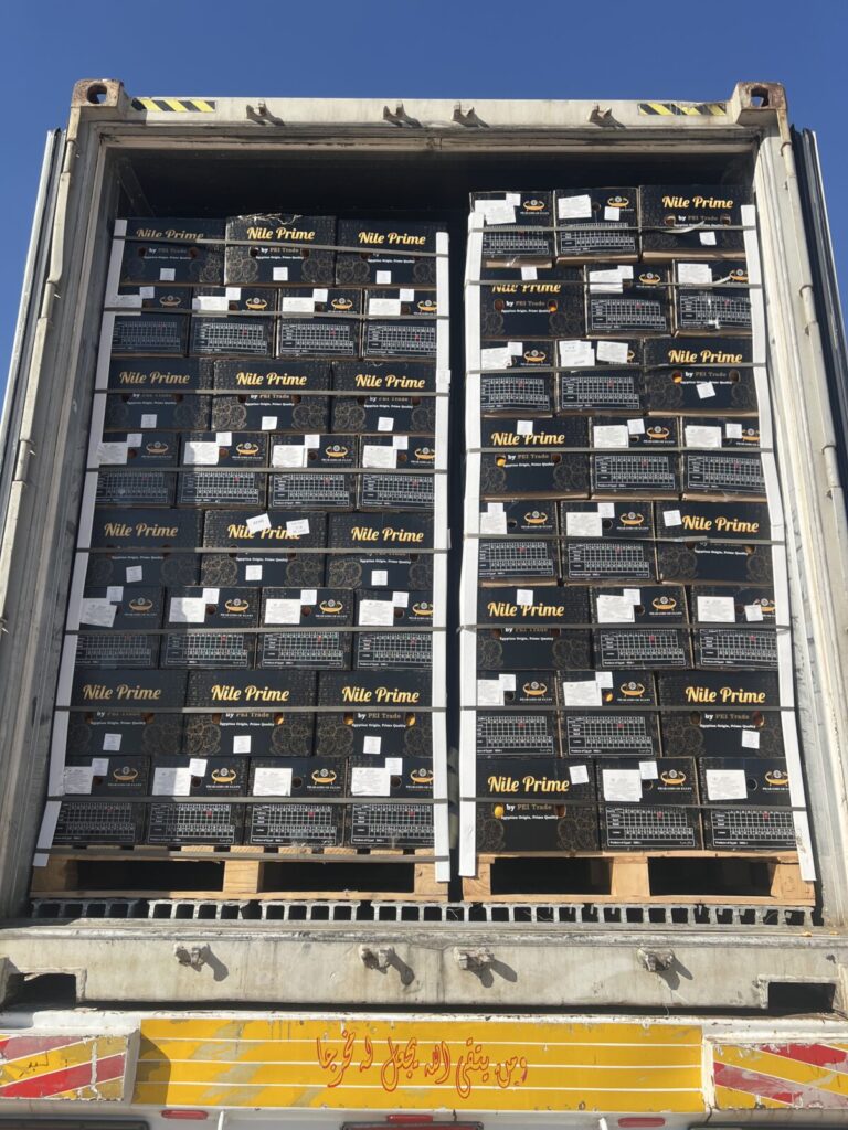 Egyptian Orange Exports 2026: PEI Trade Closes Record Season as Nile Prime Becomes Egypt's #1 Citrus Brand 3 Quality grading of Nile Prime Egyptian oranges in HACCP-certified packing facility