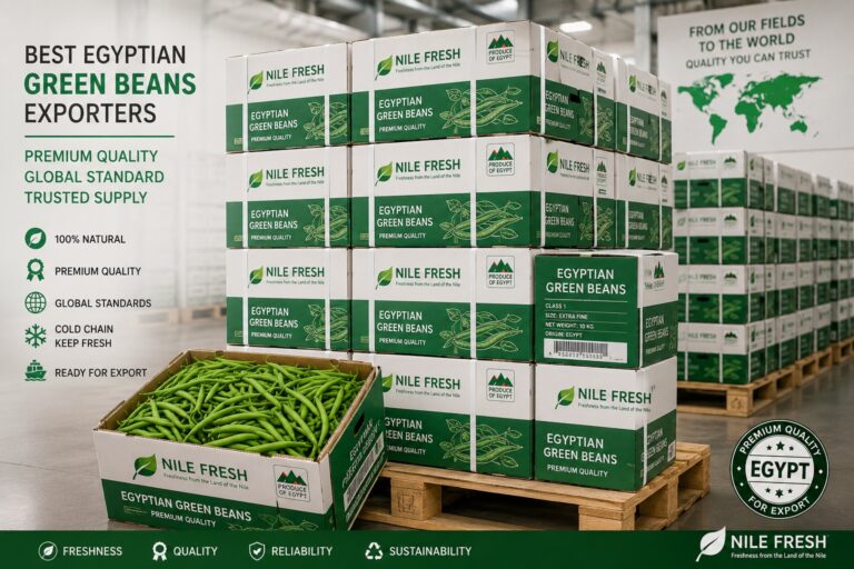 Mejores exportadores de judías verdes egipcias 10 best egyptian green beans exporters