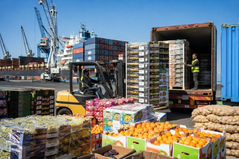 Las exportaciones de alimentos de Egipto suben un 7,1% hasta 2430 millones de dólares a principios de 2026 1 egypt food exports 2026