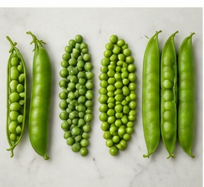 Variétés et grades des petits pois égyptiens : petit pois et pois de jardin 9 egyptian green peas varieties