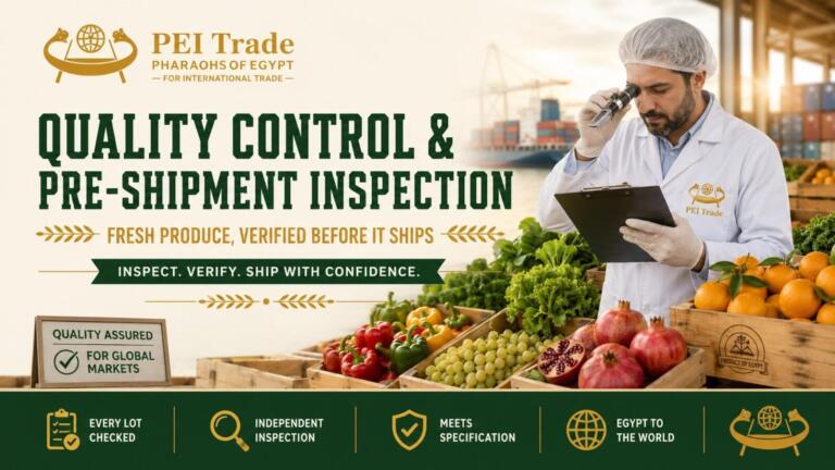 Pre-Shipment Inspection on Egyptian Produce 2026: What SGS and Intertek Actually Check 2 quality control pre shipment inspection hero