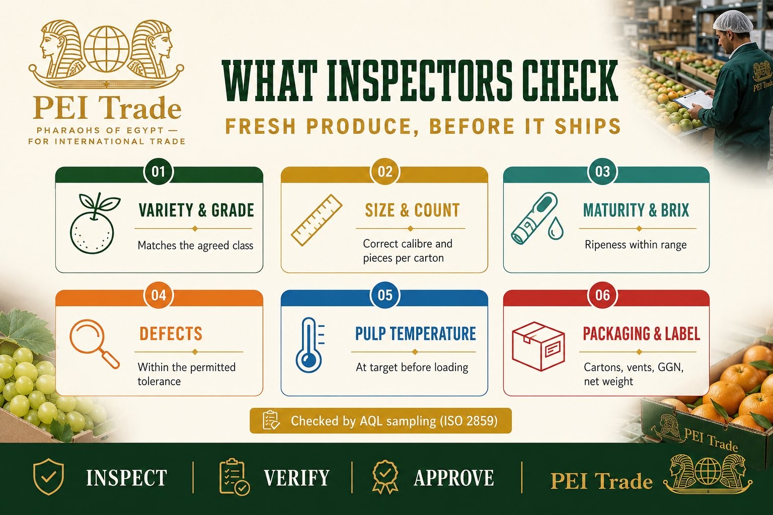 Quality control and pre-shipment inspection for fresh produce: checking variety, grade, size, maturity, defects, temperature and packaging before loading