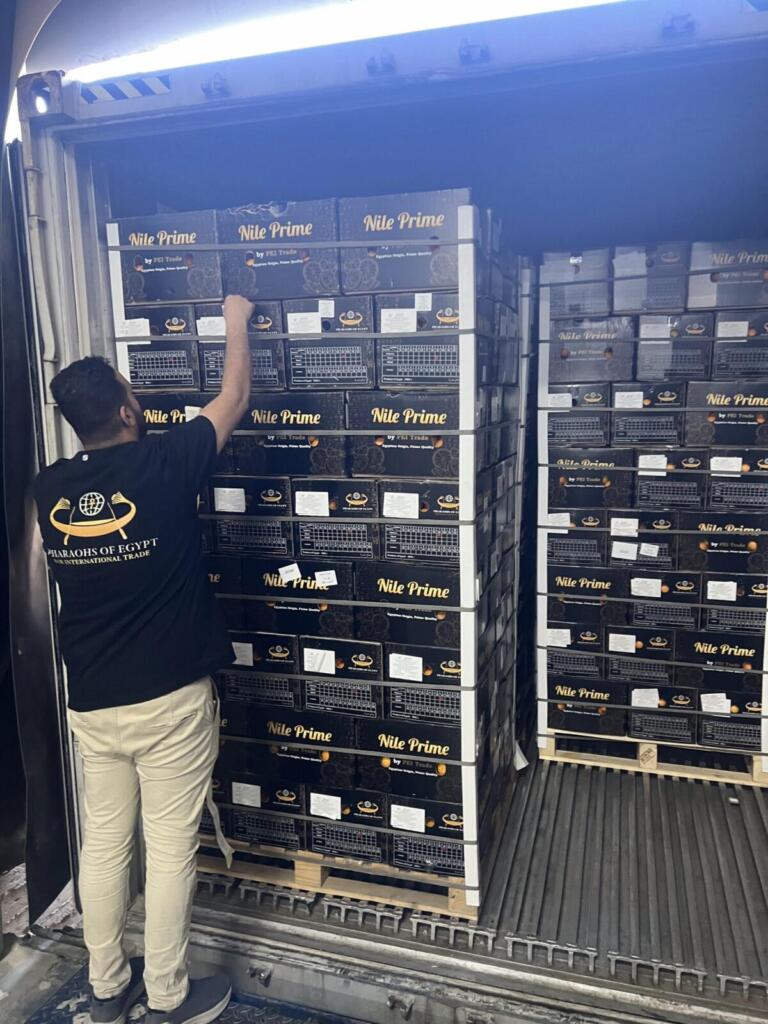 Container stuffing of orange export pallets in progress