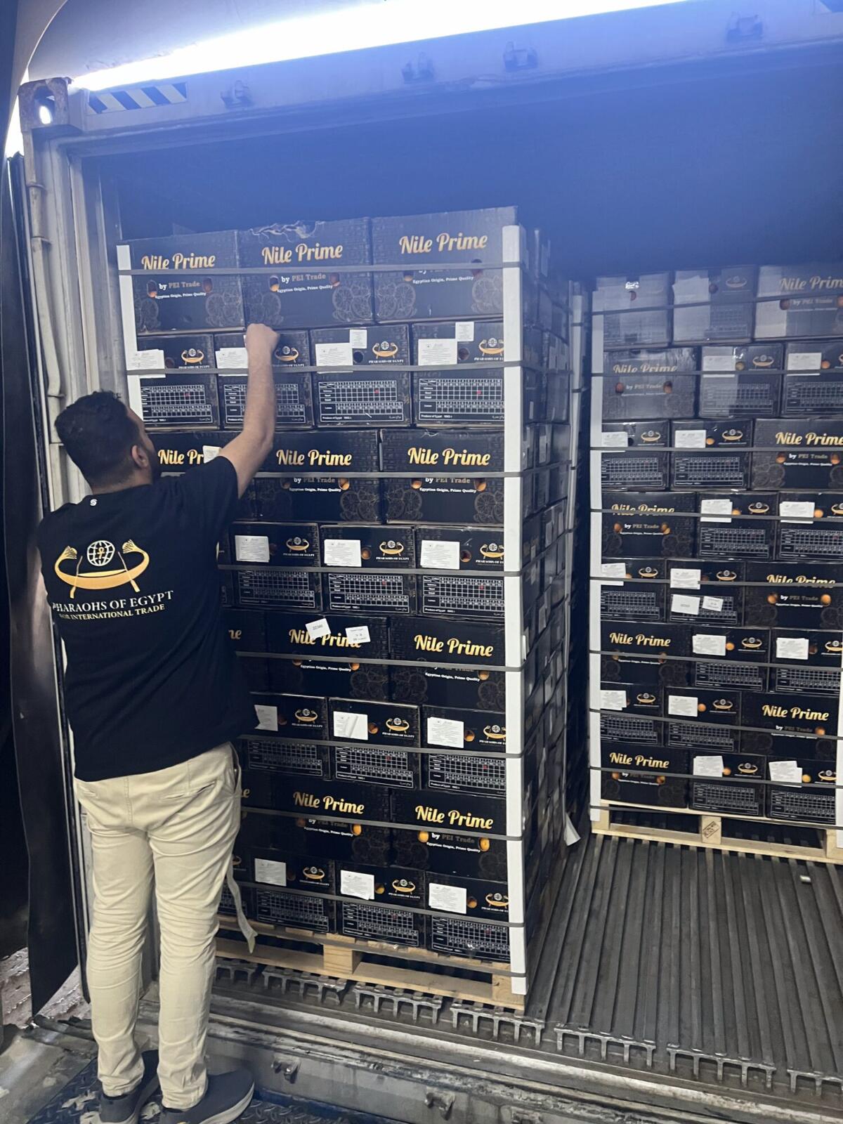 Container stuffing of orange export pallets in progress
