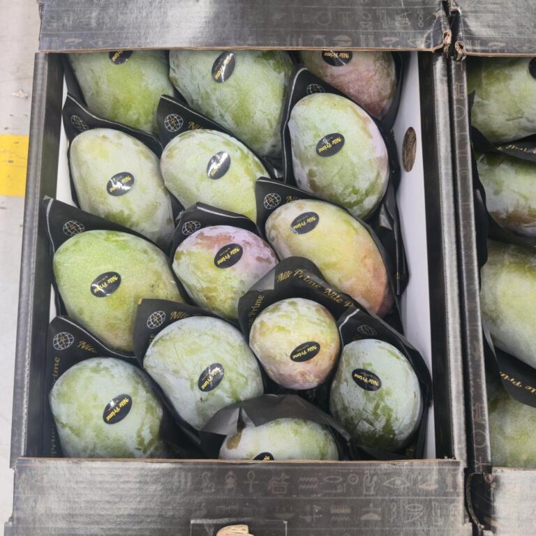 Egyptian mangoes in protective sleeves inside a hieroglyph-printed export carton