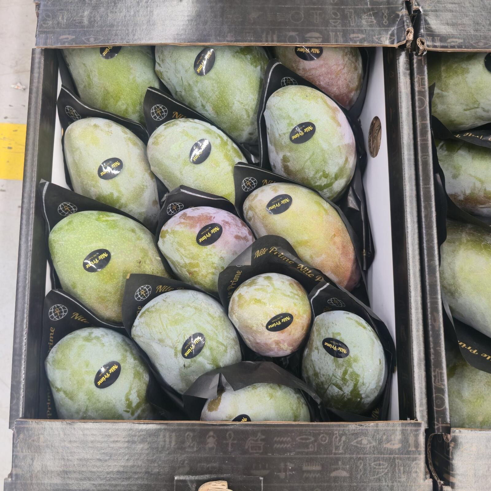 Egyptian mangoes in protective sleeves inside a hieroglyph-printed export carton