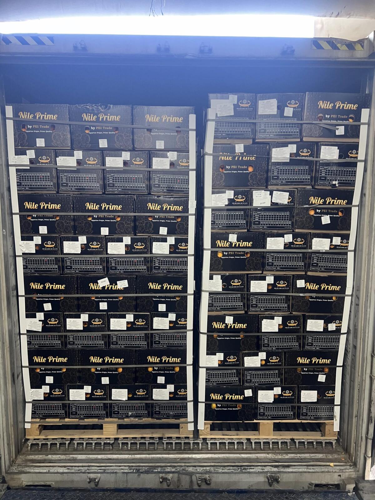 Fully loaded reefer container of Egyptian orange export cartons