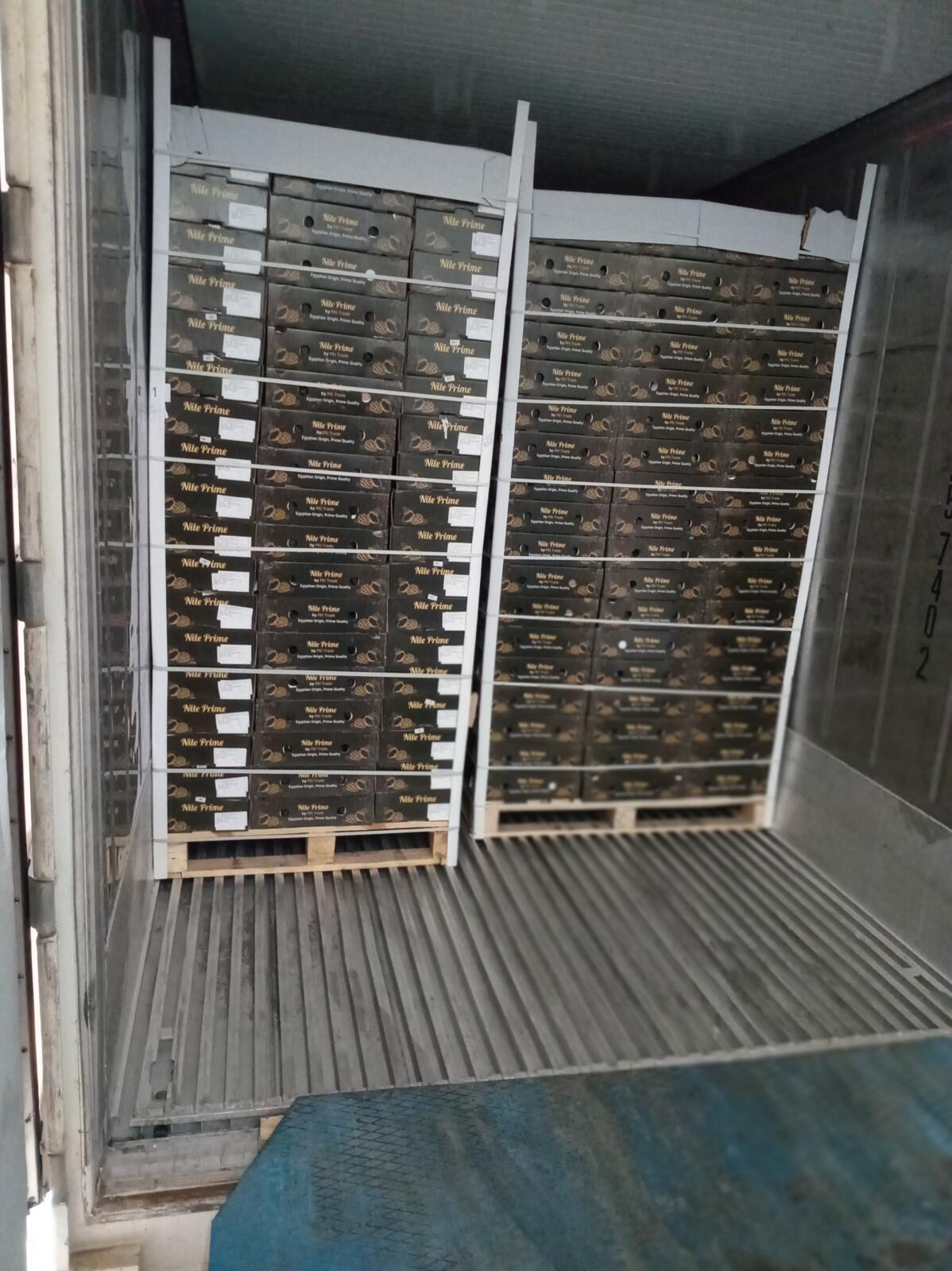 Mango pallets being loaded into a refrigerated container for export from Egypt