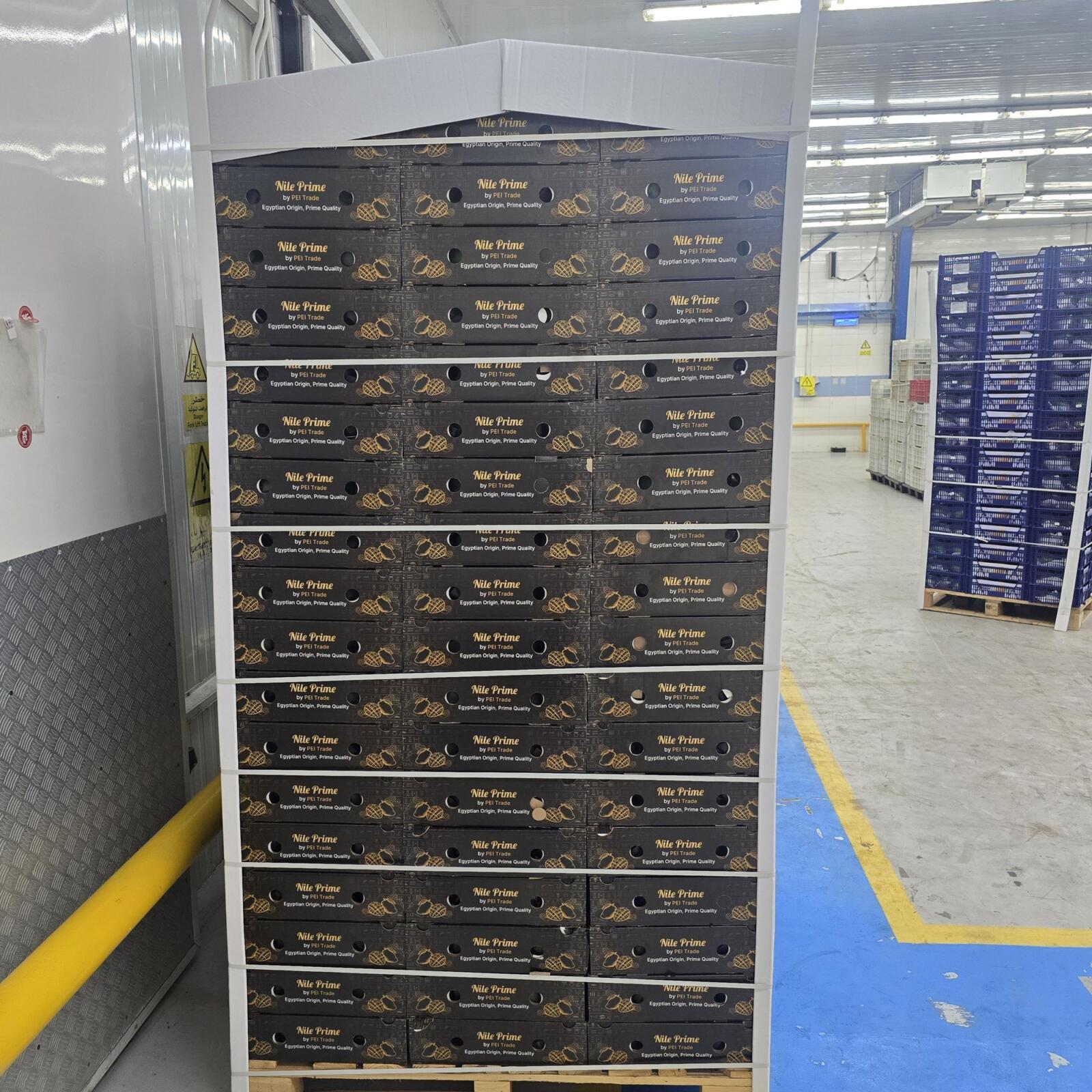 Mango Size Chart 2026: Counts, Weights and Carton Formats 2 Completed pallet of Nile Prime mango cartons in an Egyptian packhouse