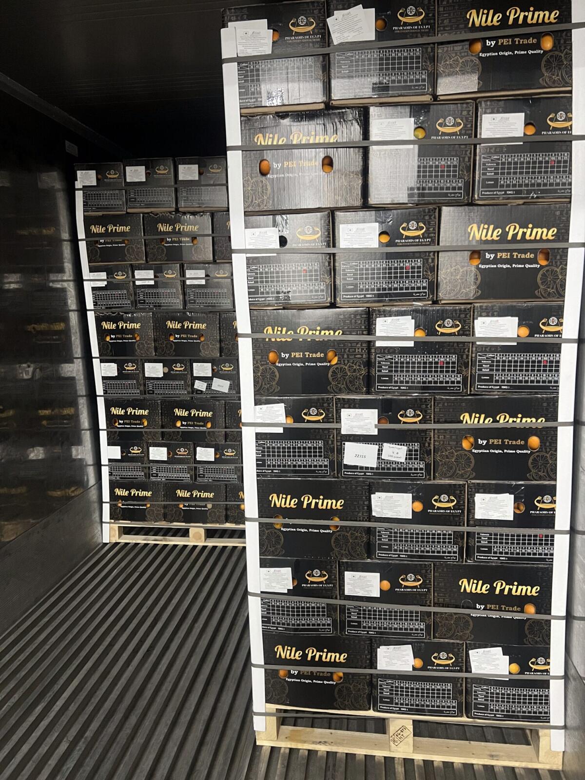 Reefer booking Egyptian citrus: Orange export pallet standing inside a reefer container during loading