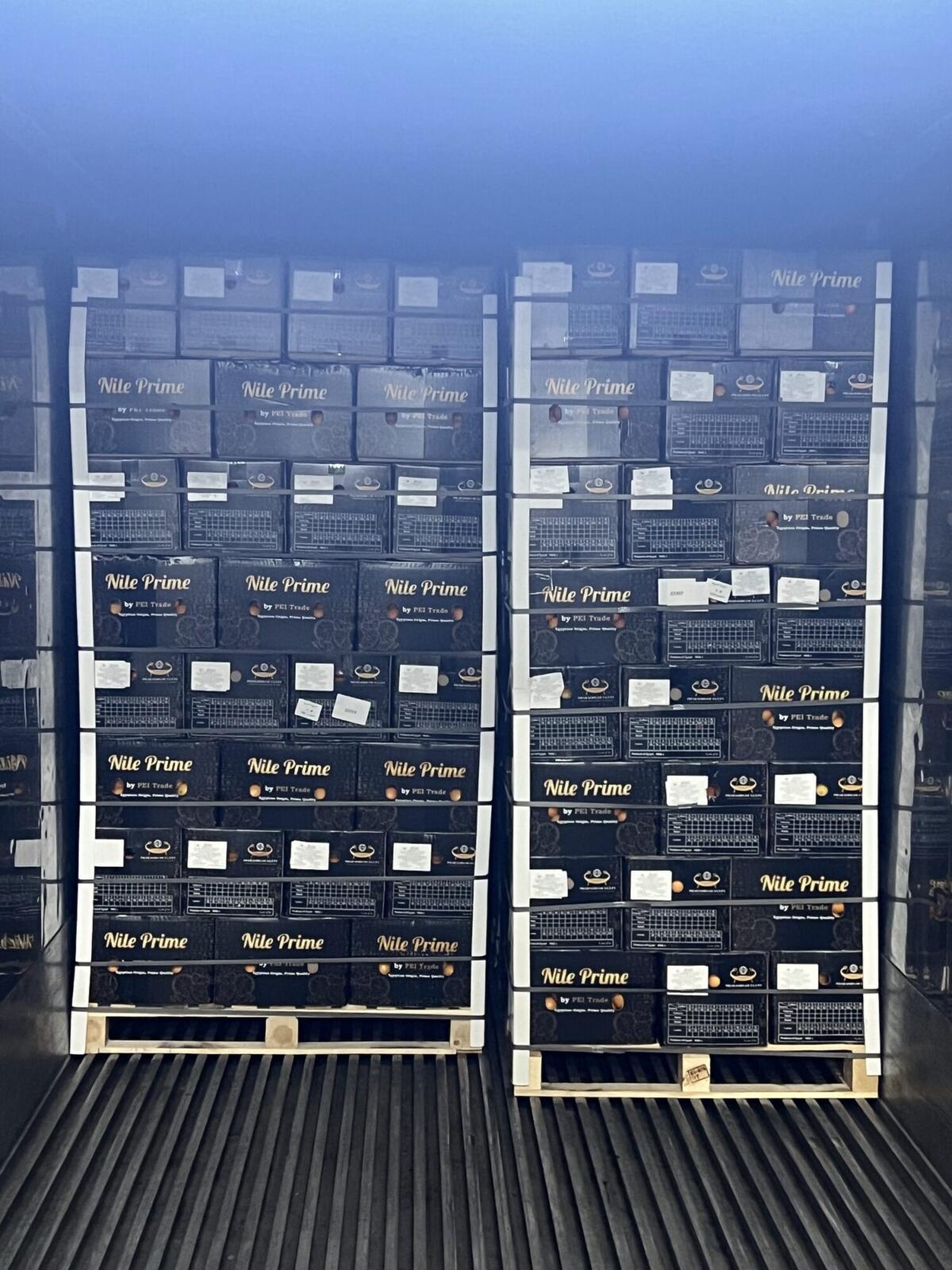 Citrus export packaging on pallets loaded inside a refrigerated container