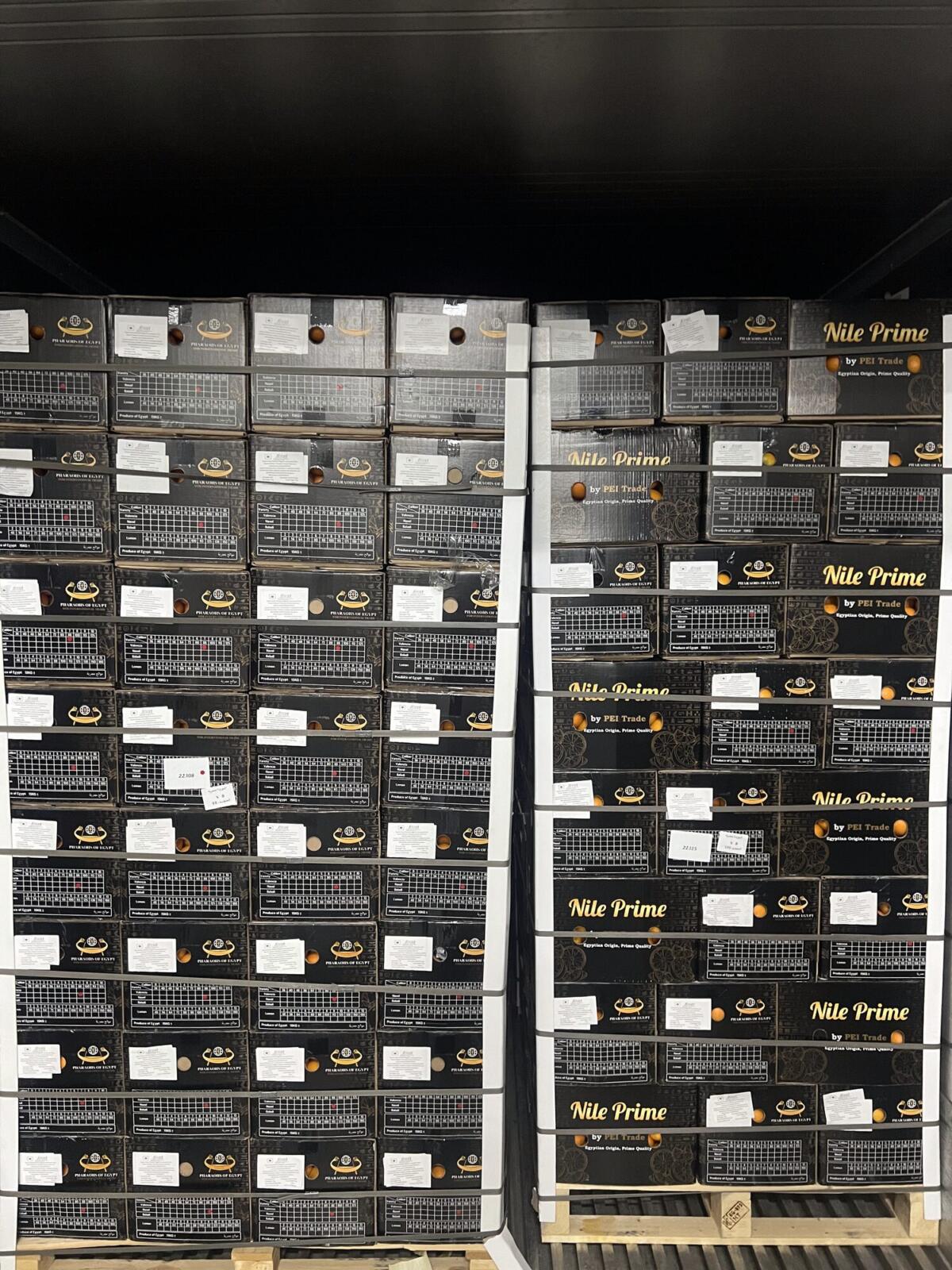 Orange export pallets stowed inside a 40 ft reefer container