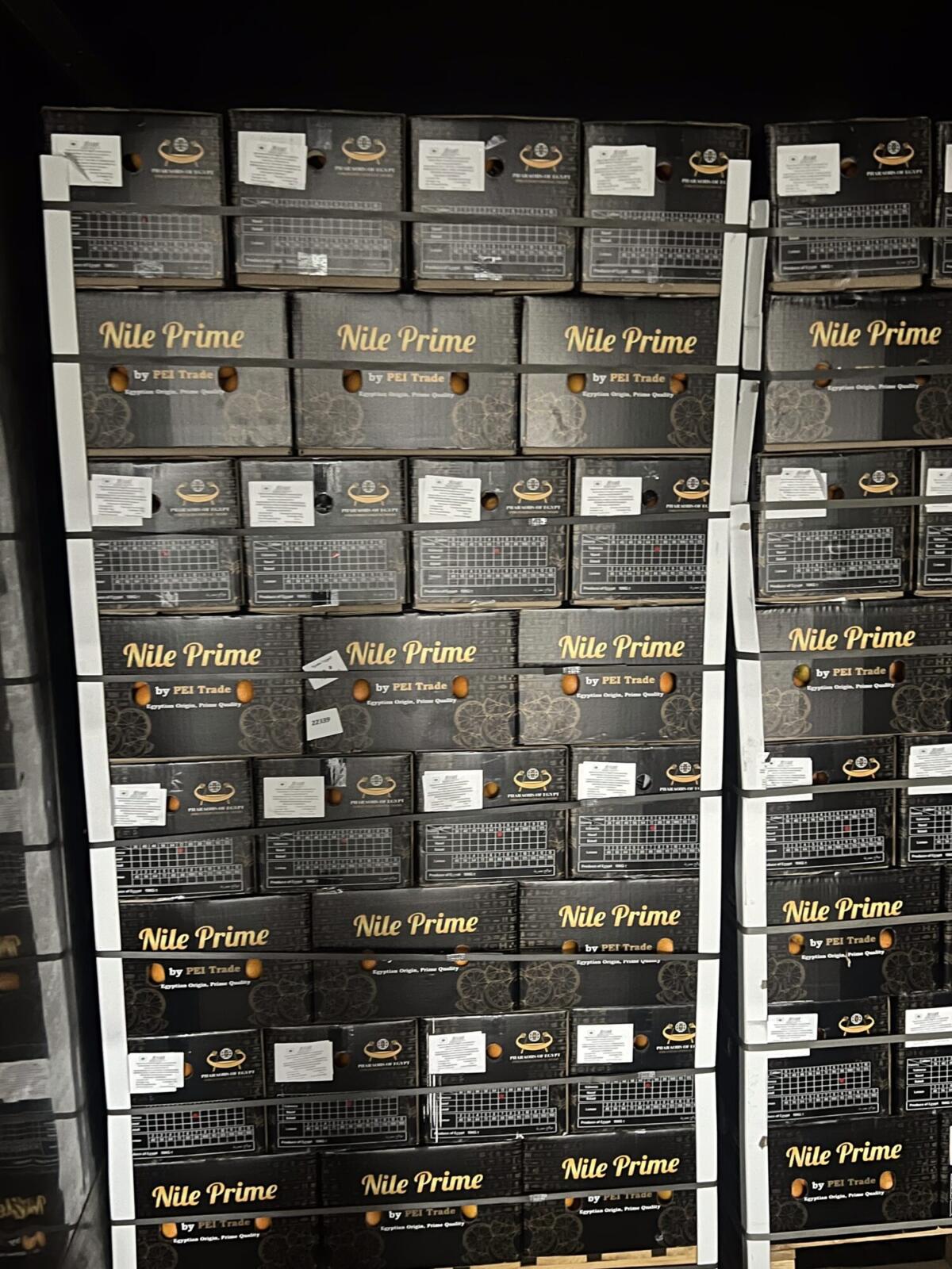 Palletised orange export cartons corner-boarded, strapped and labelled