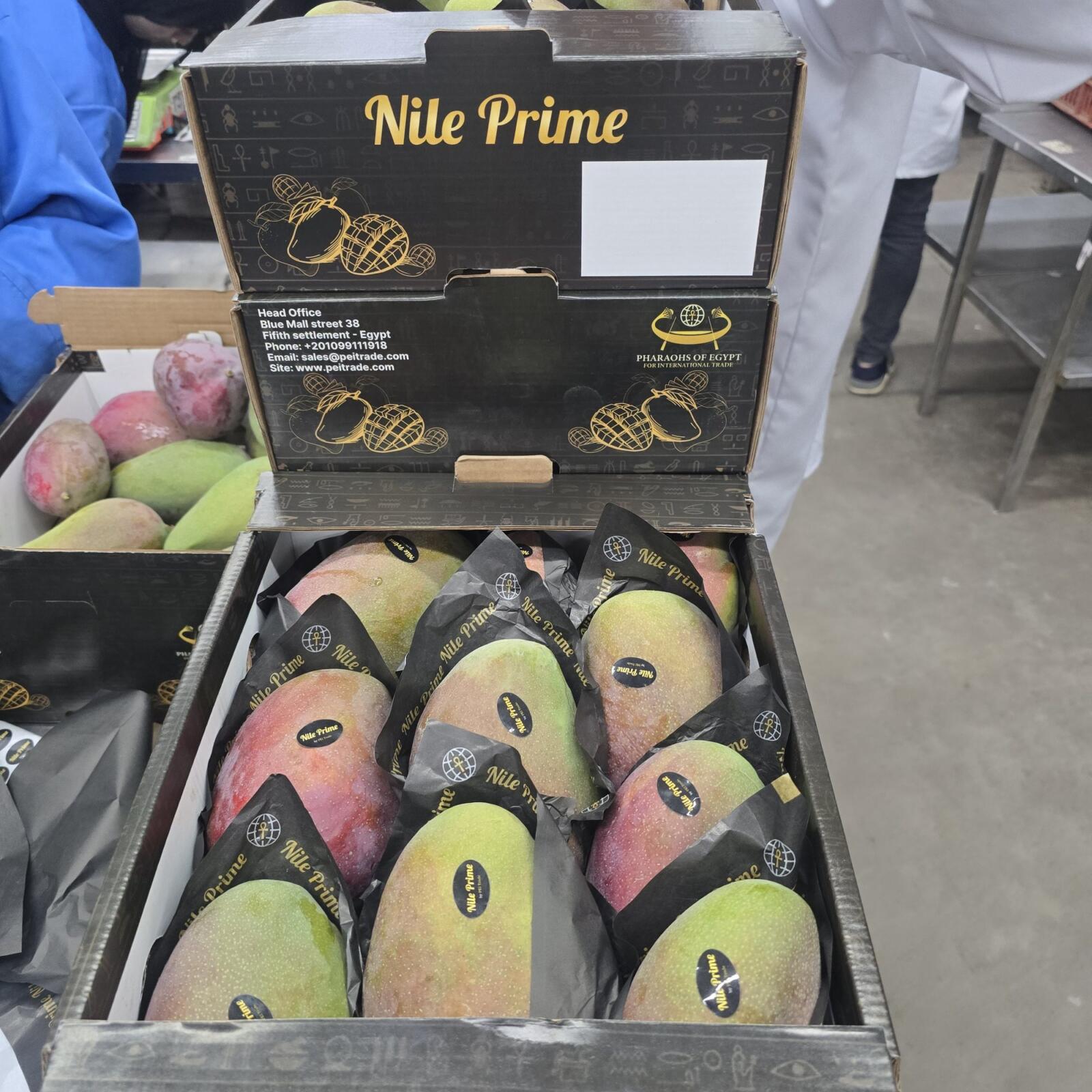 Nile Prime branded mango carton open to show packed Egyptian mangoes in sleeves