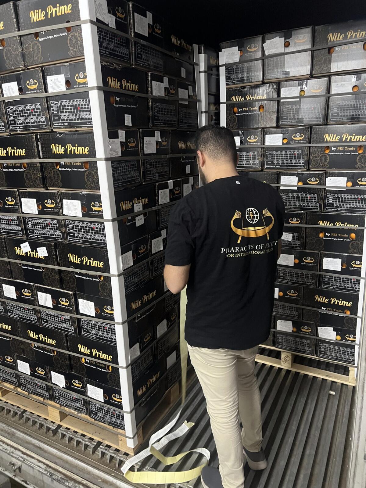 Securing orange export pallets for sea freight inside the container