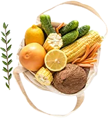 Fruits Basket