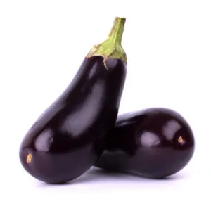 Berenjena Egipcia Premium – Alta Calidad para Exportación Global
