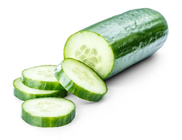 Fresh Egyptian cucumbers – export-ready, crisp, and uniform in size and quality