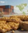Exportação de Batatas do Egito: Tendências de Mercado, Logística e Oportunidades