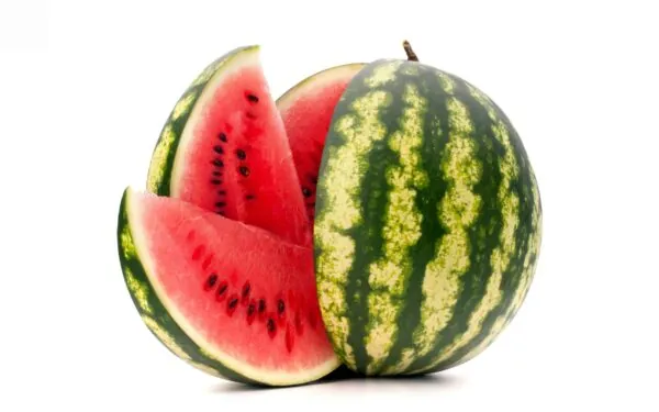 البطيخ
